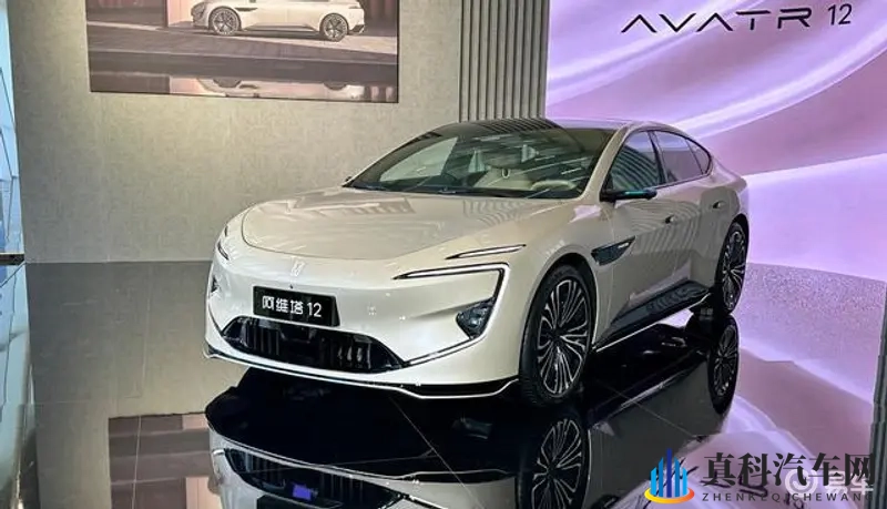 童帝结弦全部车牌号:豪车收藏家座驾揭秘:车牌故事引关注-1