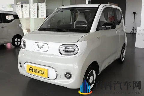 提供三门、四门版可选，五菱宏光 MINIEV配置解析，哪款值得选？-3