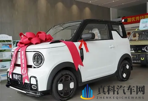 迟到的提车作业 吉利熊猫mini提车日记分享+验车步骤+当地习俗-2