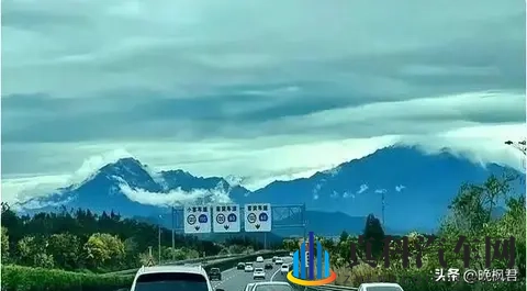 燃油车补贴突然回归，禁燃政策打脸了？官方数据藏着大秘密-2