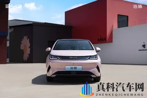 10万级,高阶智驾+冰箱,颜值还很高|海豚如何选?-3