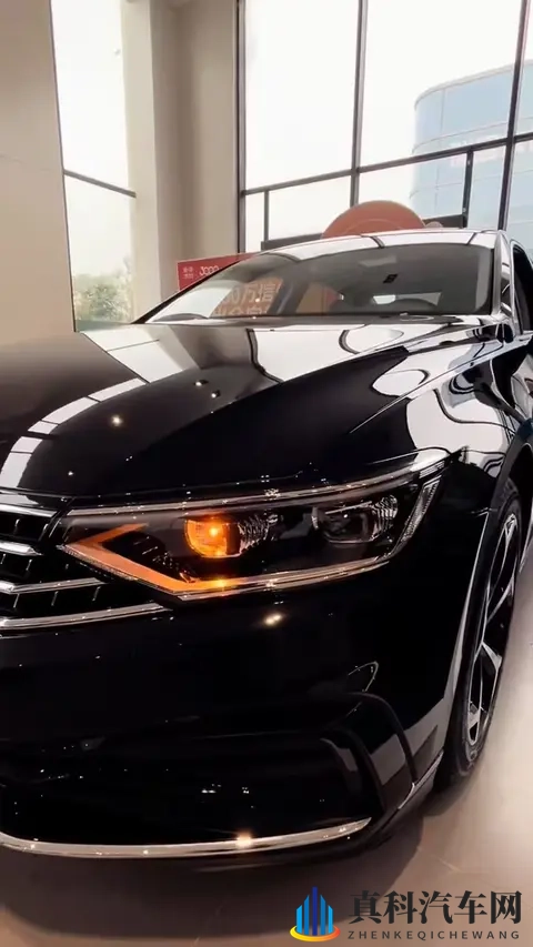 国产又大又长：本土制造，尺寸宽广，长度显著-3