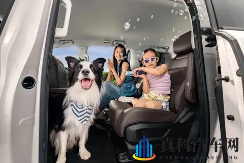 10万级MPV推荐，真7座+电滑门，动力配置多选，家用很合适-3