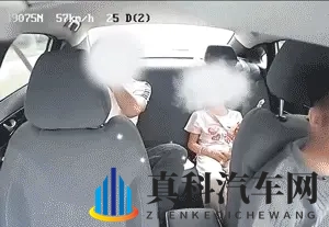 数据显示:小型客车死亡事故中后排乘客死亡人数是副驾驶的267倍-2