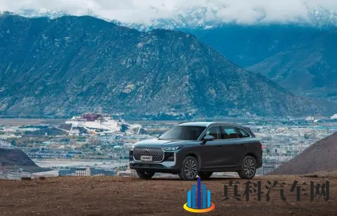 奇瑞热门车型迎更新 第五代瑞虎8开启预售-3