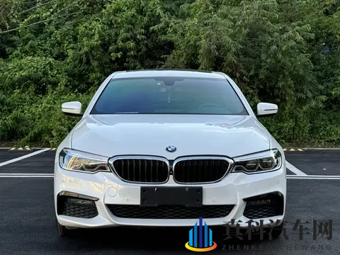 20万出头拿下宝马5系，体验行政级轿车的魅力？-3