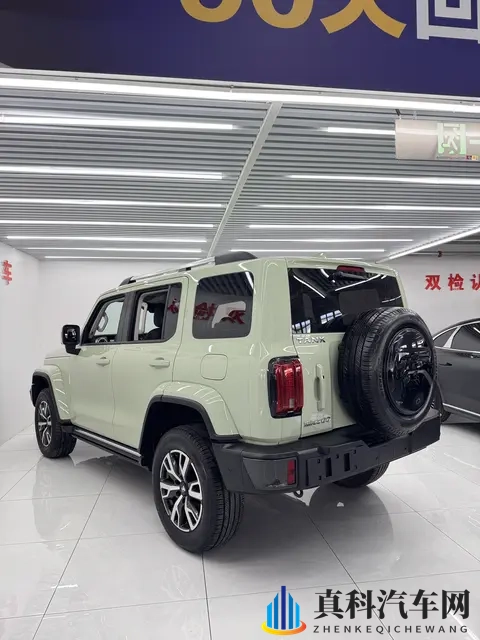 16万多拿下坦克300，圆你硬派越野梦-2