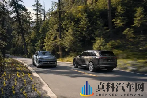 买电车的为什么都在看这款车？20-30万，大三排SUV，乐道L90-3