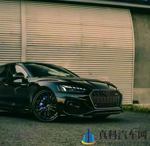 奥迪2026放大招！全系一代Q7、Q9领衔 还要复活A2纯电版！-2