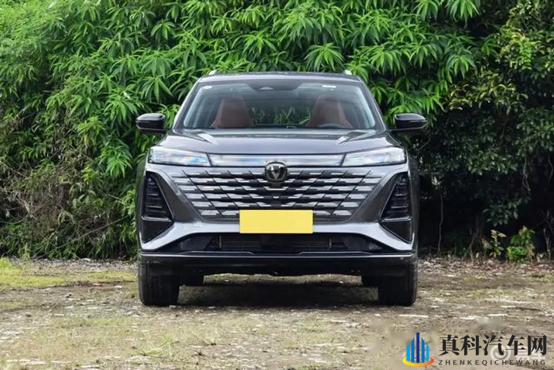 亚洲综合区：汽车市场新风口，亚洲抢跑新能源汽车-1