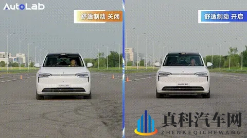 新能源PK豪华燃油SUV:谁的底盘更懂“舒适”?-3