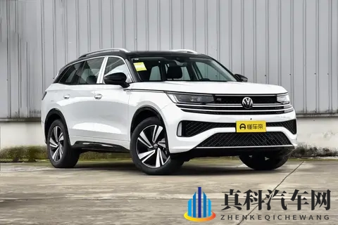 2026揽巡终极选买:5款车怎么选?省钱又省心-3