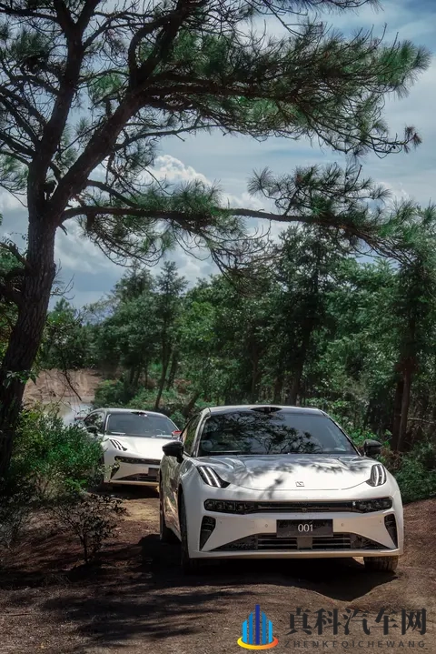 禁止18岁：未成年人驾车新规：安全守护，交通无忧-2