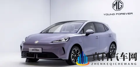 2025年前9个月爆款车型top10-1