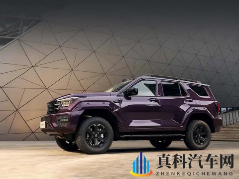 全新坦克400，2498万起，四款动力！-3