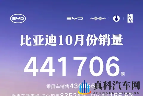 10月车市爆了!比亚迪狂卖44万,新势力杀疯了谁在偷偷逆袭?-3