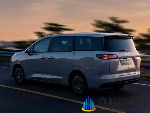 空间争夺战开打,六款MPV扎堆上市,谁在赌未来?-3