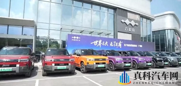 国产男男:汽车新秀亮相,设计卓越,性能出众-1