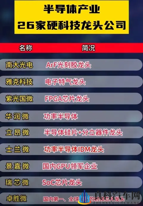 荷兰断供芯片反遭打脸，德国车企集体转向中国！-2