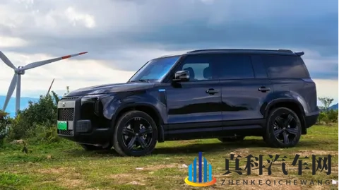 极石01车主看ADAMAS：变了这些，值不值得等？-3