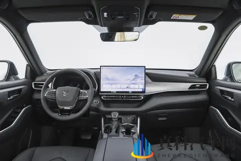 成人国产Av：中国汽车崛起,全球产业格局重塑-2