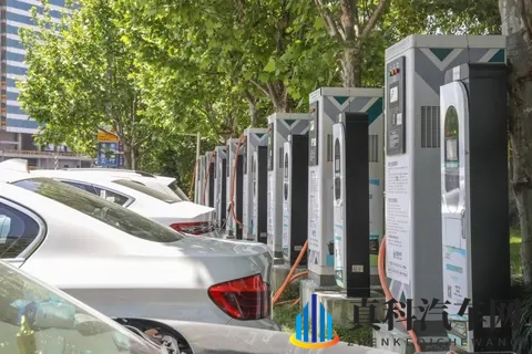 女学生:节、一堂课：校园节庆，青春课堂掠影-3