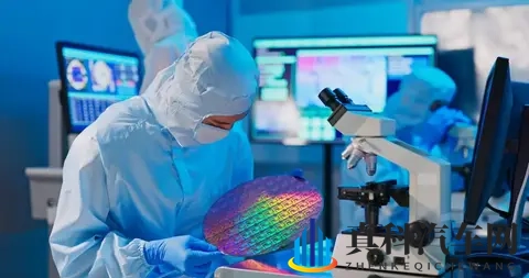 荷兰“认输”归还安世还不够,必须严惩荷兰安世高层-1