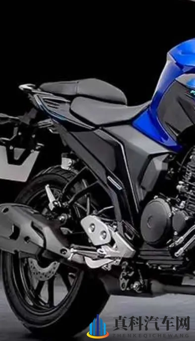雅马哈飞致250复出 拼的不是马力 是省油能走天下的底气-2