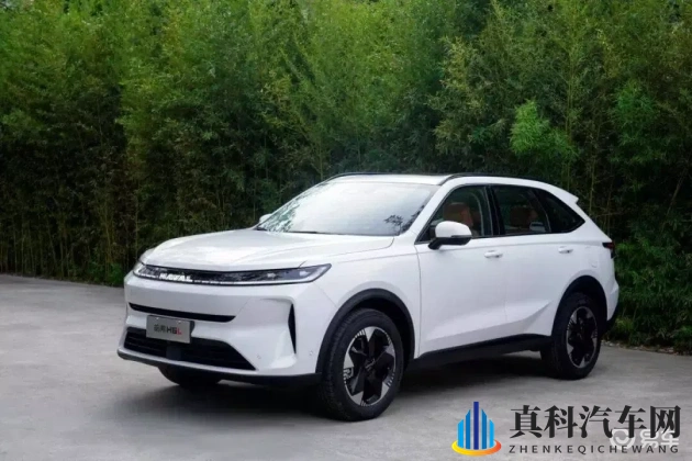 哈弗H6L回归,销量王者再登巅峰-1