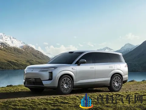 销量第一被“绝杀”！终于疲态显现，比亚迪快装不下去了？-3