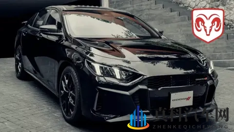 谁在买传祺影豹?揭秘这款运动家轿的核心受众-3