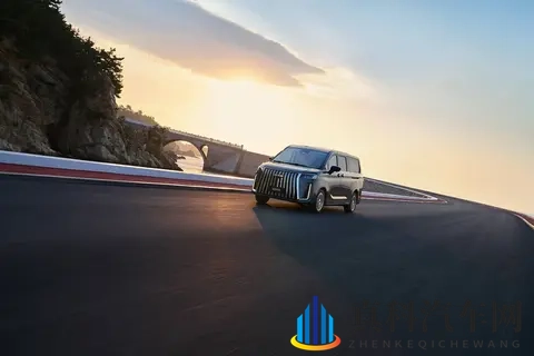 性少妇mdms丰满成熟：风韵犹存少妇，曼妙身姿尽显-3