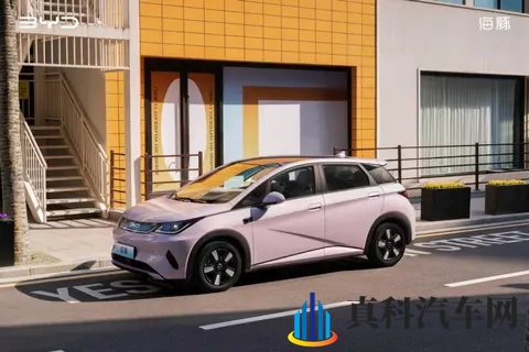 10万级,高阶智驾+冰箱,颜值还很高|海豚如何选?-1