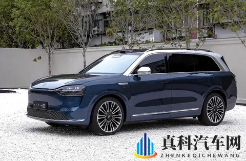 “油车时代”罕见的中大型SUV，为什么如今却出现井喷的局面？-3