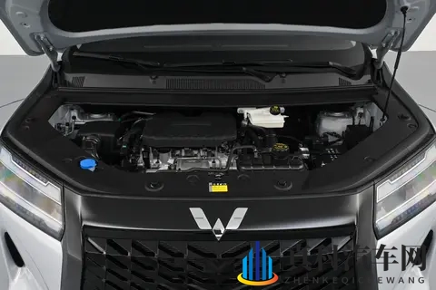 到店实拍星光730:燃油+插混+纯电,家用7座MPV“爆款”车型?-2