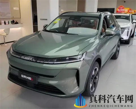 电车味十足，全新哈弗H6L实车到店，配悬浮中控屏_怀挡-2