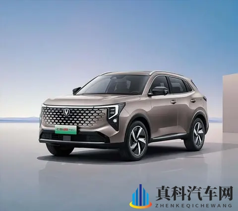 好 色 视 频TV：精彩视频大放送，尽在视听盛宴平台-3