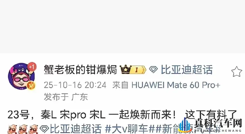 比亚迪秦 L _ 宋 Pro _ 宋 L 同步改款-1