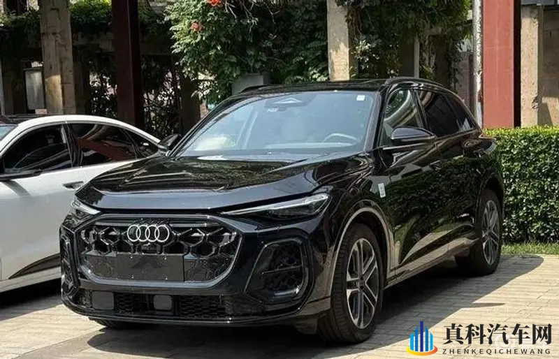 粉色视频苏州晶体ios免费下载：苏州粉色视频免费iOS下载，晶体版任你享-1