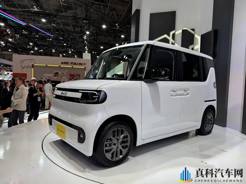 欧美毛茸茸：汽车内饰新潮流：毛茸茸时尚来袭，舒适升级！-1