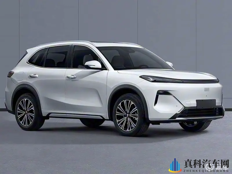 天堂8最新版：天堂8全新升级版震撼来袭-1