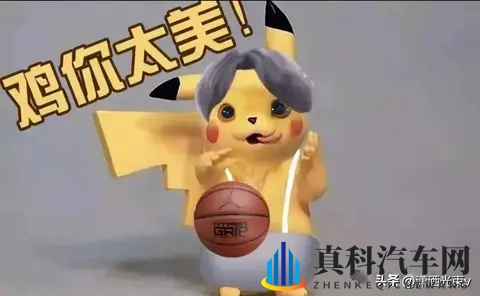 方程豹要推“镁”车，命名太硬核，品牌能扛住吗-2