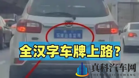 全汉字车牌上路被人举报？交警来到笑了：我真管不了-3