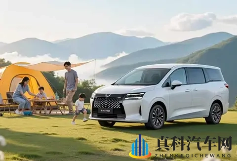 燃油党有福了！11月将上市8款燃油车，哪款是你的菜？-3