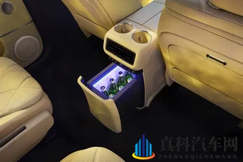 家用六座SUV！风云T11哪款值得买？推荐220后驱双IMAX影院版-3