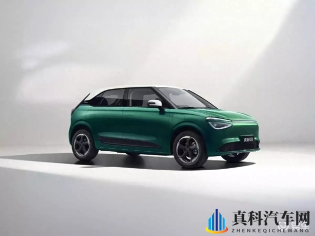 老人玩小雏雌女ND另类：老年人与年轻女性互动，探索非传统玩法-2