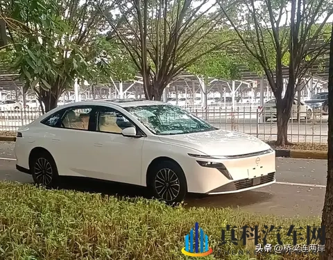 黄软件网站下载3.0.3免：智能升级！黄软件3.0.3版免费为车主带来便利-2