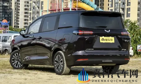 10万级MPV，油耗低，大空间，配舒享座驾-1