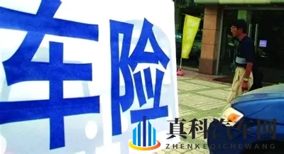 紫色面具十三部:汽车新潮流:揭秘颠覆性科技新车面纱-3