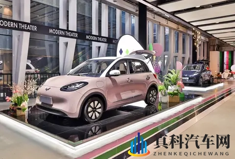 大众IDPolo暂时没有国产计划，将推出符合中国用户审美的产品-2